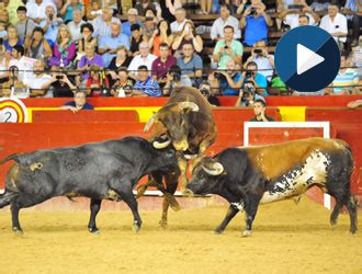 Los Amos De La Desencajonada Mundotoro