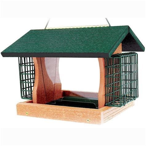 Best Hopper Bird Feeders Wildlifeful