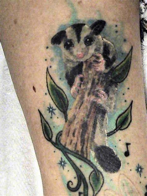 Sugarglider.com - Gliderpedia - Tattoo