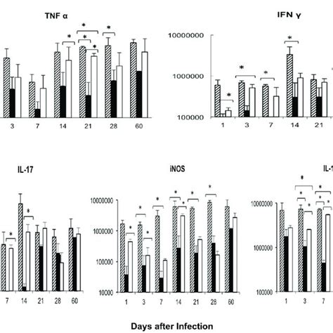 Kinetics Of Pro Inflammatory Cytokines And Inos Gene Expression