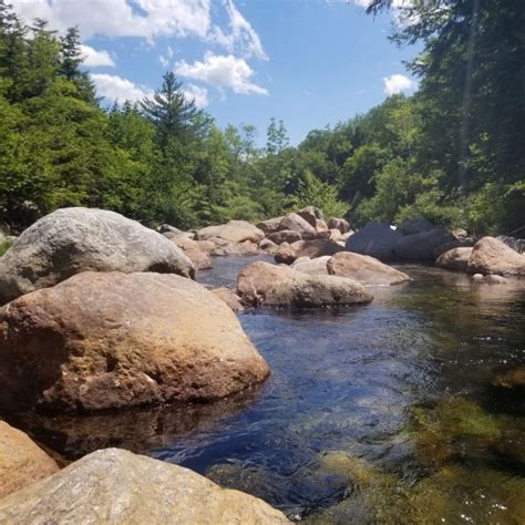 Reel Adventures Of Fly Fishing