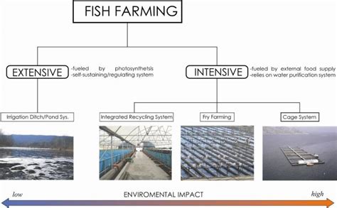 Making Aquaculture Sustainable Political Ecology Of The World Food