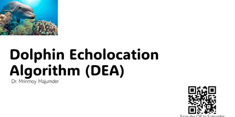 Introduction to Dolphin Echolocation Algorithm