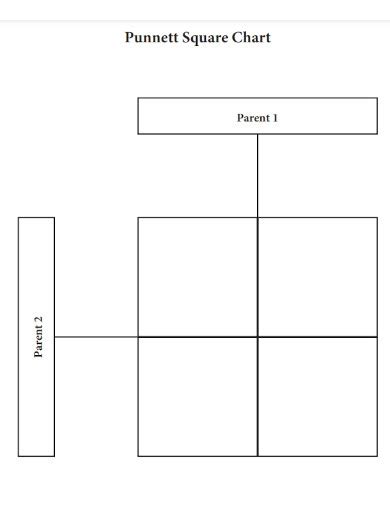 Punnett Square – 13+ Examples, How to Use, PDF