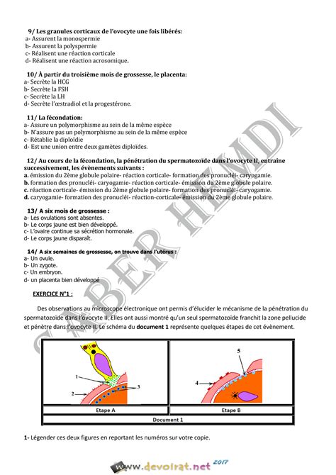 Solution S Rie De R Vision N Svt Procr Ation Bac Sciences Exp