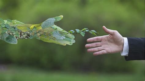 Soluciones Basadas En La Naturaleza Agua Org Mx