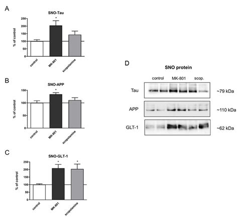 Densitometric Analysis Of Sno Proteins A C Equal Volumes Of Eluates