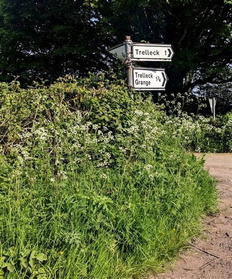 Direction And Distance Signs At Jaggery Cc By Sa 2 0 Geograph