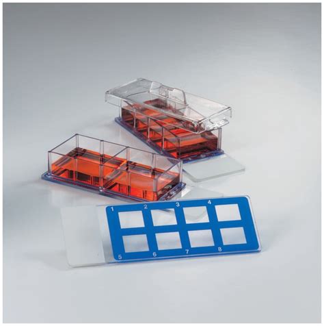 Falcon Chambered Cell Culture Slides 8 Well 24csmicroscope Slides