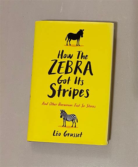 How The Zebra Got Its Stripes 興趣及遊戲 書本 And 文具 小朋友書 Carousell