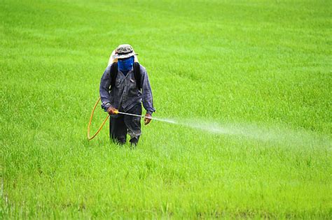 Background Petani Menyemprot Peralatan Pestisida Insektisida Petani