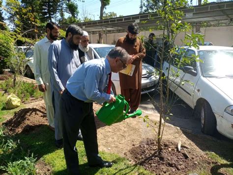 Tree Plantation Drive To Promote Greening Of Islamabad Launched