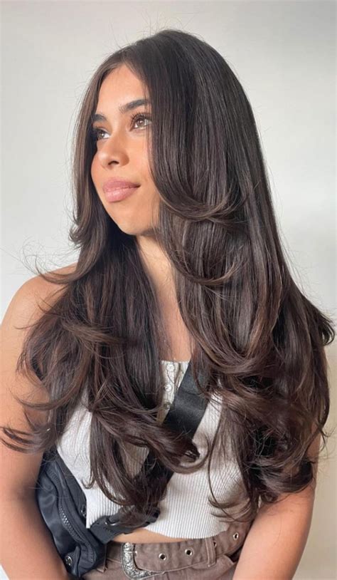 50 Trendsetting Short Layer Cuts On Long Hair Elegant Brunette Layers