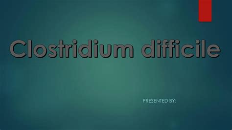 SOLUTION Clostridium Difficile Powerpoint Studypool