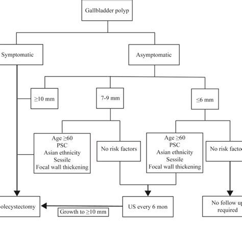 Flowchart For The Management Of A Gallbladder Polyp Detected On