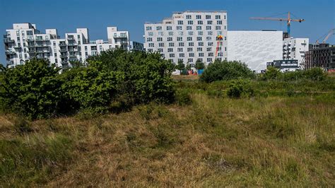 Oplev Naturpark Amager Oplev Lorryland TV 2 Kosmopol