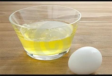 Pasteurized Egg Whites, Packaging Type: 5-11 Kgs Polypropylene at Rs ...