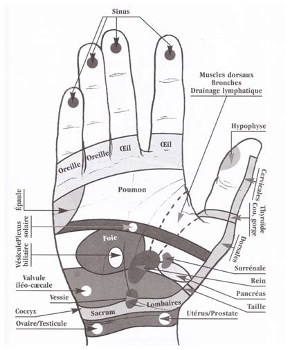 La Réflexologie Palmaire Méthode Chinoise Sur Le Chemin De La Réflexologie