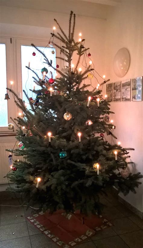 Weihnachtsbaum Ortsverwaltung Mz Laubenheim De