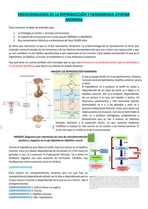 SOLUTION Endocrinologia De La Reproduccion Y Hemorragia Uterina