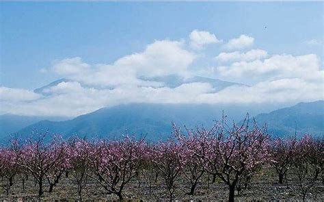 عکس های زیبا و دیدنی از فصل بهار در مازندران