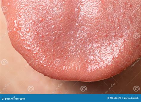 Macro Close Up Surface Of Human Tongue Sensory Receptors Of The