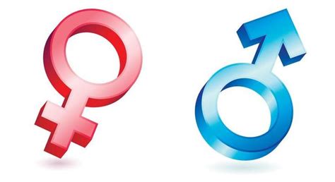 Male Female Vector Art, Icons, and Graphics for Free Download