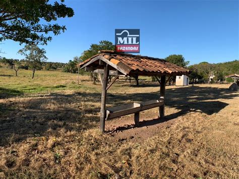 Mil Fazendas Fazenda Alqueires Hectares Itapirapu Go