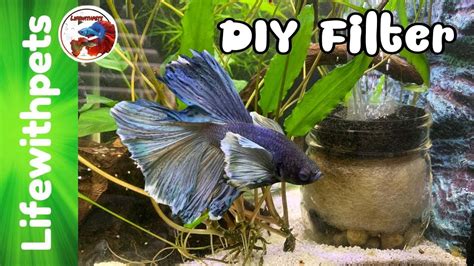 EASY DIY FILTER For A BETTA FISH TANK YouTube