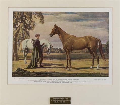 Legendary Racehorse: Phar Lap - Sporting - Horses - Memorabilia