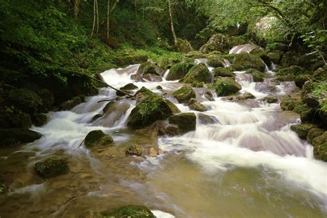 Bachlauf Fluss Wald Kostenloses Foto Auf Pixabay Pixabay