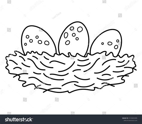 Vector Black White Bird Nest Eggs Stock Vector Royalty Free