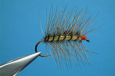 Fly Tying Basic Pattern Progression Woolly Worm To Woolly Bugger And