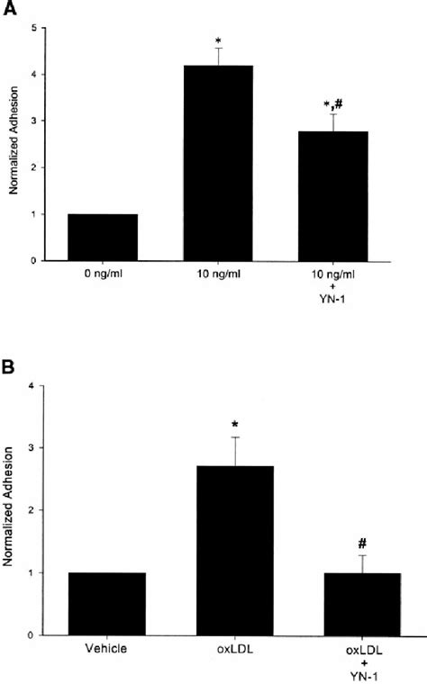 Figure From Essential Role Of Icam In Mediating Monocyte Adhesion