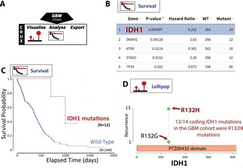 Finding Prognostic Biomarkers Associated With Longer Patient Survival