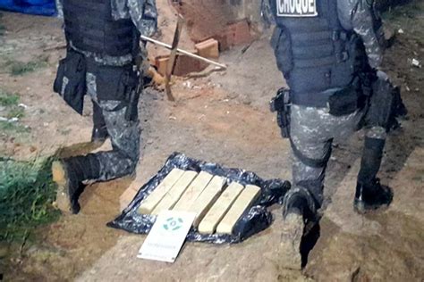 BPChoque apreende mais de 6kg de maconha enterrada em matagal Polícia