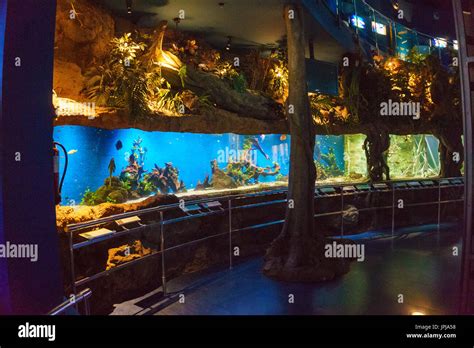 Interior Of The Aquarium Barcelona L Aquarium De Barcelona Its The