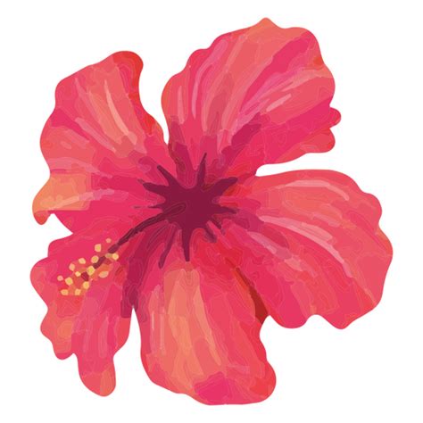 Diseño Png Y Svg De Acuarela De Diseño De Hibisco Rosa Floral Para Camisetas