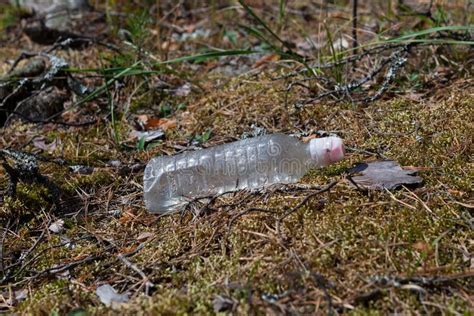 Vieille Bouteille En Plastique Jetable Sur Le Bord De La Forêt