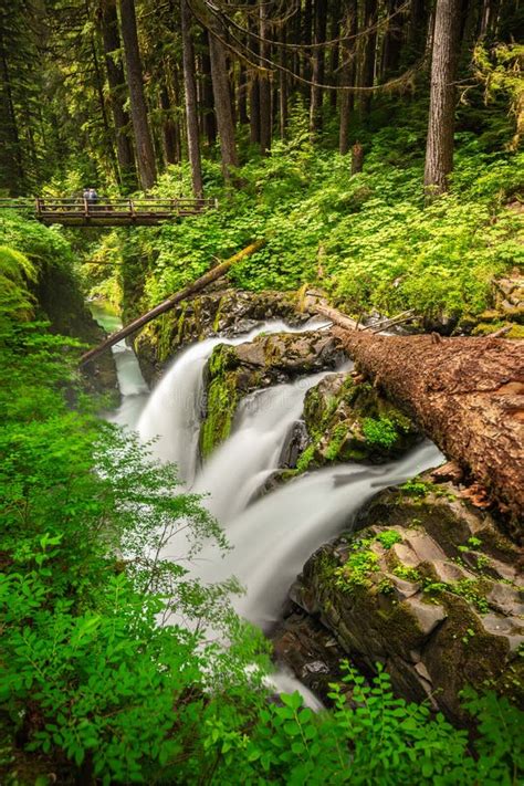 Sol Duc Cai No Parque Nacional Ol Mpico Foto De Stock Imagem De Fuga