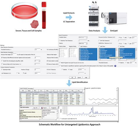 Untargeted Lipidomics An Unbiased Fast And Accurate Lipid Profiling And