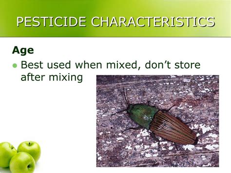 Ppt Insecticides Powerpoint Presentation Free Download Id3763711