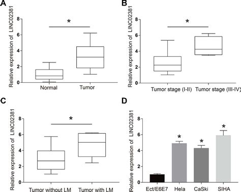 Figure 1 From Linc02381 Promoted Cell Viability And Migration Via