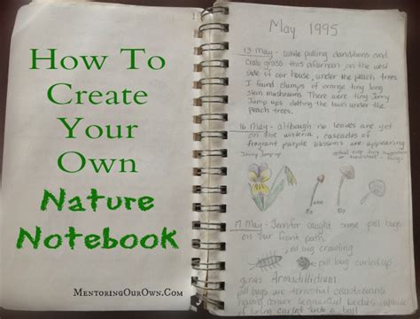 How To Create Your Own Nature Notebook Mentoring Our Own