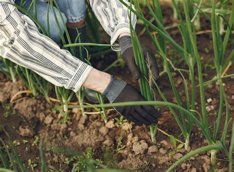 In Arrivo 24 Milioni Di Euro Per Interventi A Favore Dellagricoltura