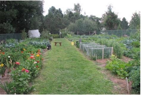 A Guide To Starting A Community Garden Alabama Cooperative Extension