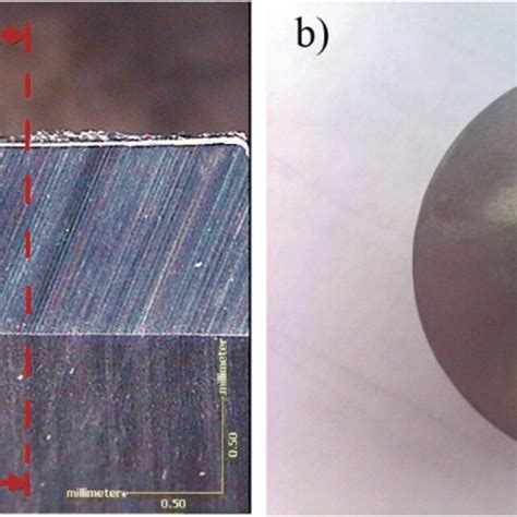 Sample Preparation For Sem And Edx Analysis A Flank Face And B Mounted