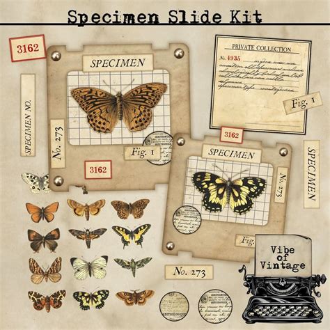 Printable Specimen Slide Kit For Junk Journals READY TO USE Etsy In