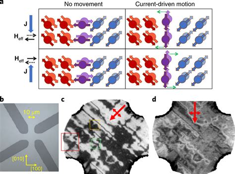 Concept Of Antiferromagnetic Domain Wall Motion And Device Structure A