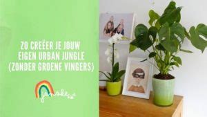 Zo Cre Er Je Jouw Eigen Urban Jungle Zonder Groene Vingers Janske Nl